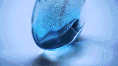 Hermes Eau des Merveilles Bleue