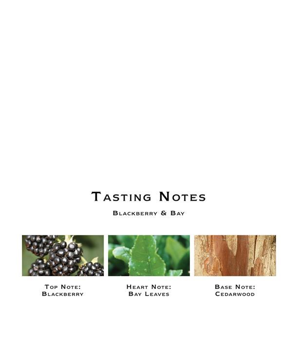 Nến thơm nước hoa Jo Malone Blackberry & Bay Home Candle 200g