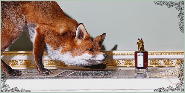Penhaligon's Portraits The Coveted Duchess Rose Eau de Parfum