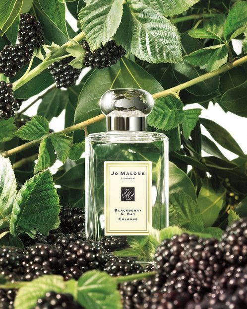 Jo Malone Blackberry & Bay Cologne
