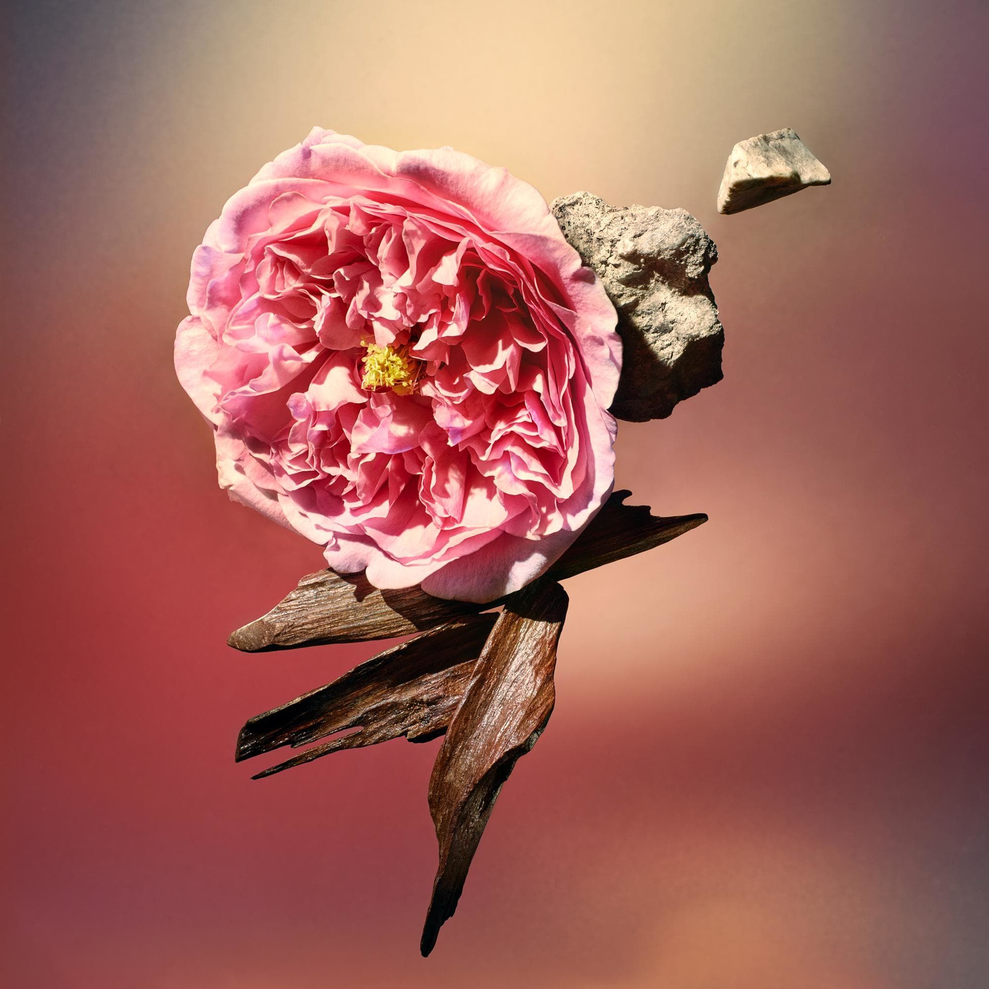 Nước hoa Louis Vuitton Les Sables Roses
