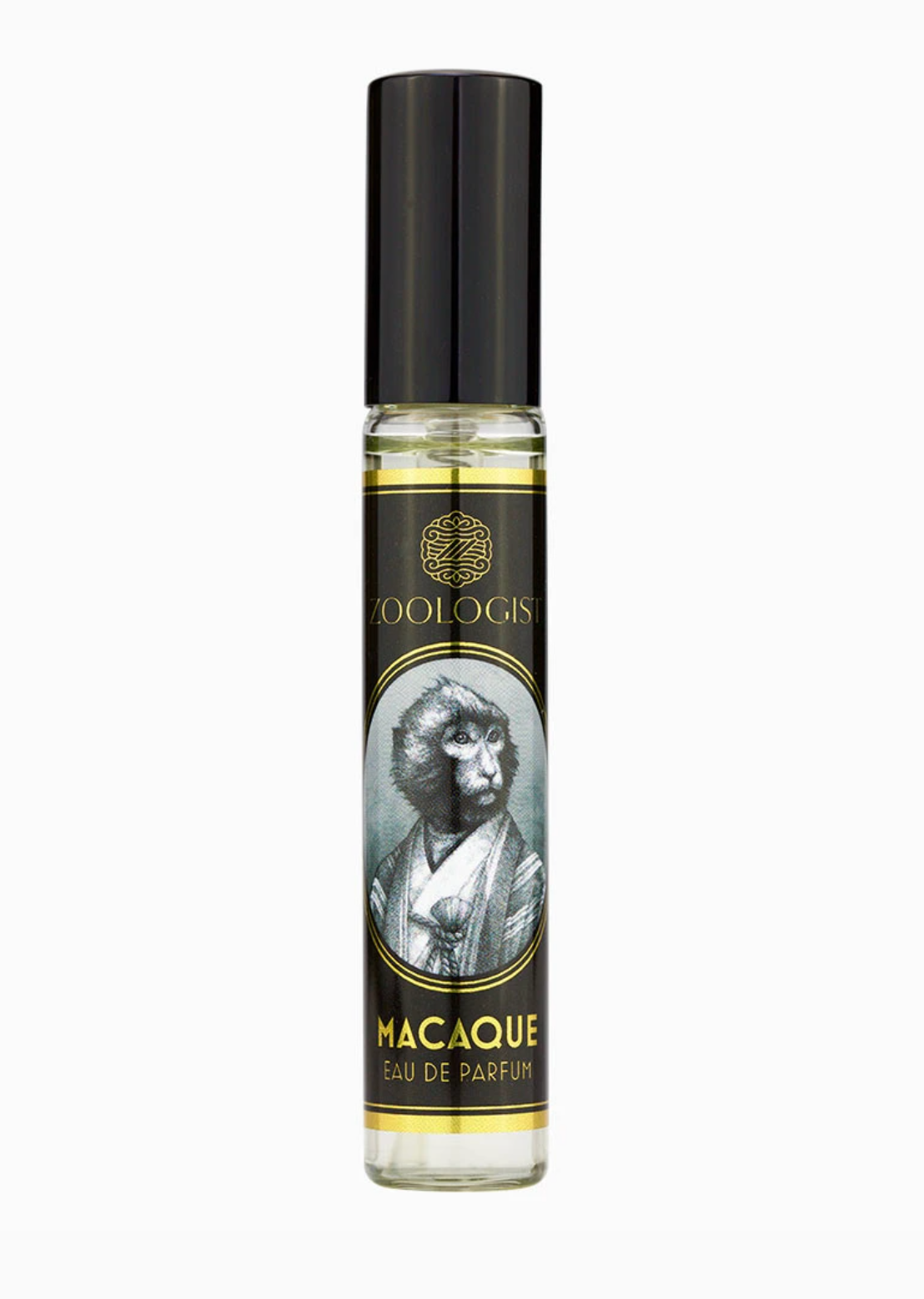 Zoologist Macaque