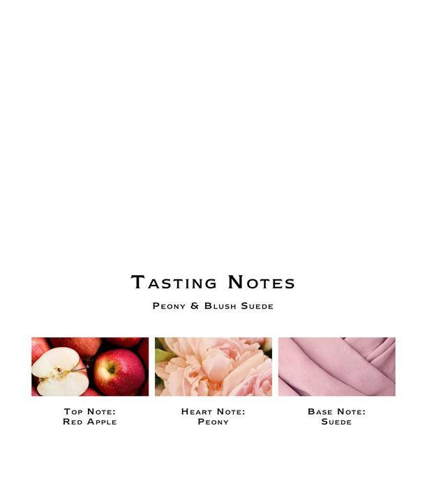 Nến thơm nước hoa Peony & Blush Suede Home Candle 200g