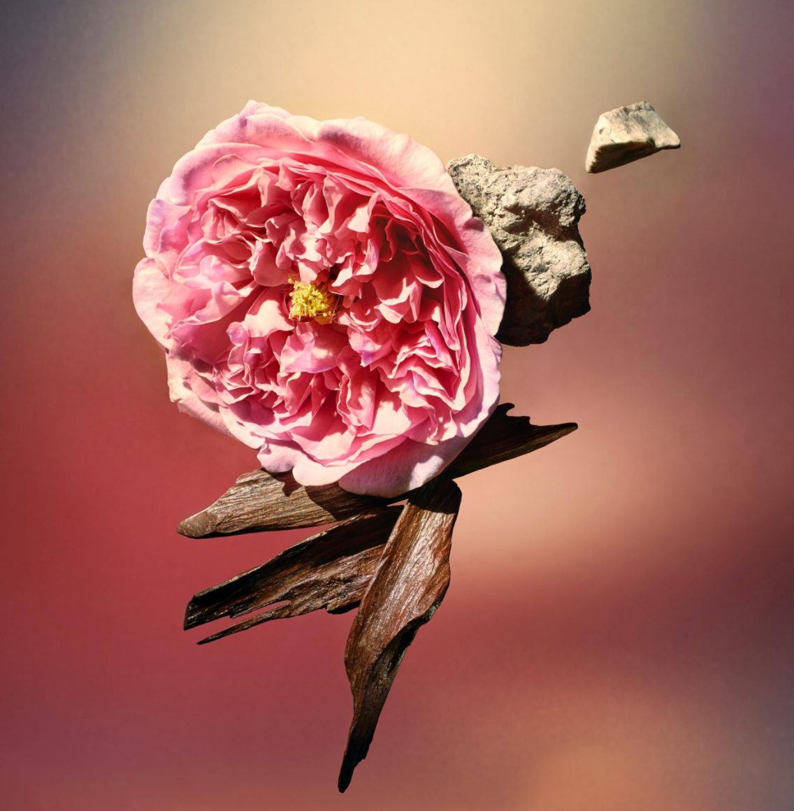 Louis Vuitton Les Sables Roses