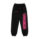 /public icon/ BIG LOGO SWEATPANT™