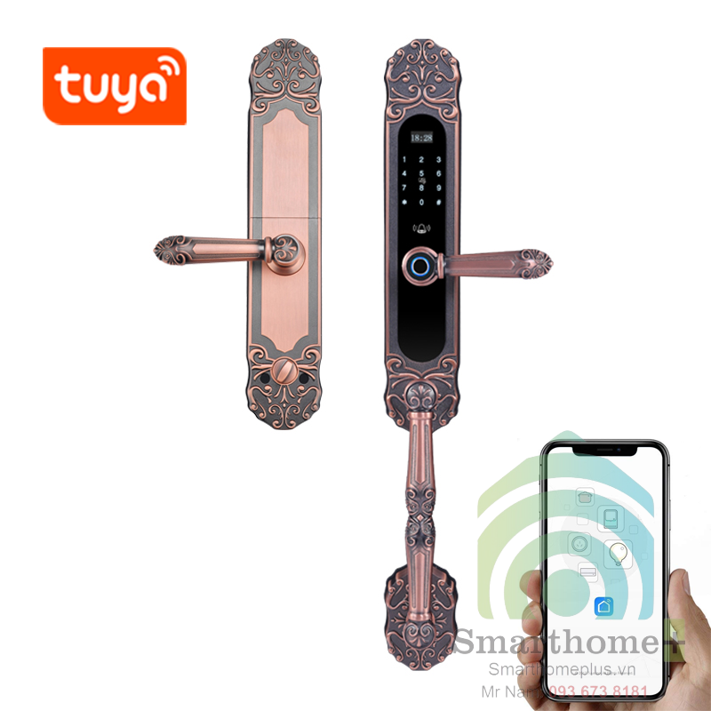 Khóa Cửa Thông Minh Tân Cổ Điển Wifi Tuya SHP-DLB6