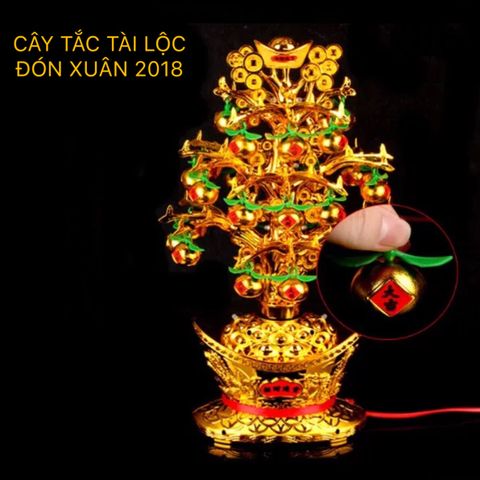  CÂY TẮC TÀI LỘC ĐÓN XUÂN 2018 