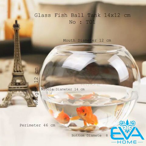  Chậu Thuỷ Tinh Dùng Làm Hồ Cá Bể Cá Để Bàn Dáng Tròn Bầu T01  Round Glass Aquarium Size 14 x 12 Cm 