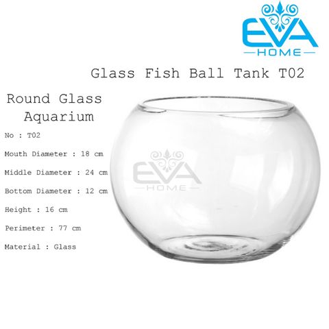  Chậu Thuỷ Tinh Dùng Làm Hồ Cá Bể Cá Để Bàn Dáng Tròn Bầu T02  Round Glass Aquarium Size 24 x 16 Cm 