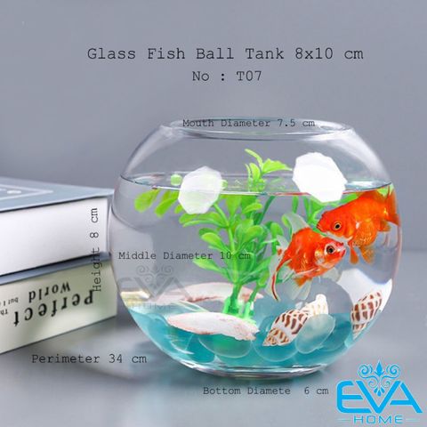  Chậu Thuỷ Tinh Dùng Làm Hồ Cá Bể Cá Để Bàn Dáng Tròn Bầu T07  Round Glass Aquarium Size 10 x 8 Cm 