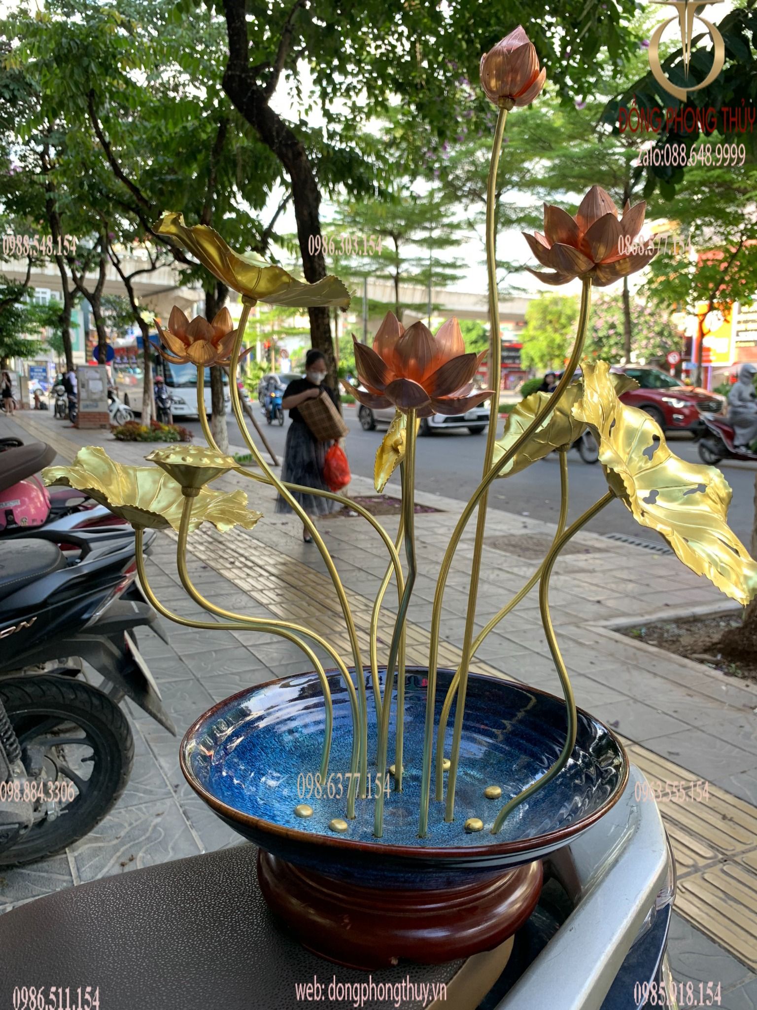 Hình ảnh sản phẩm