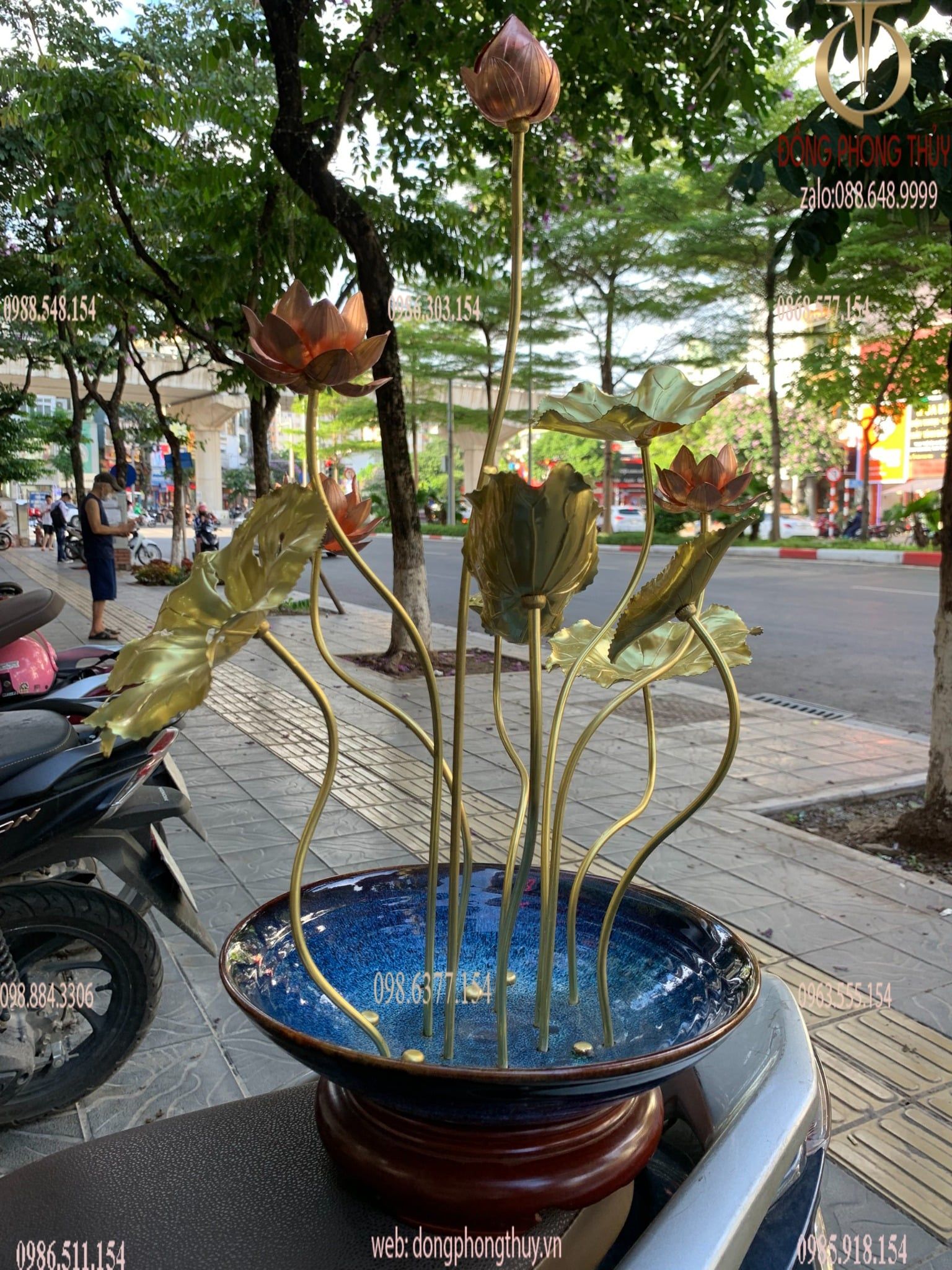 Hình ảnh sản phẩm