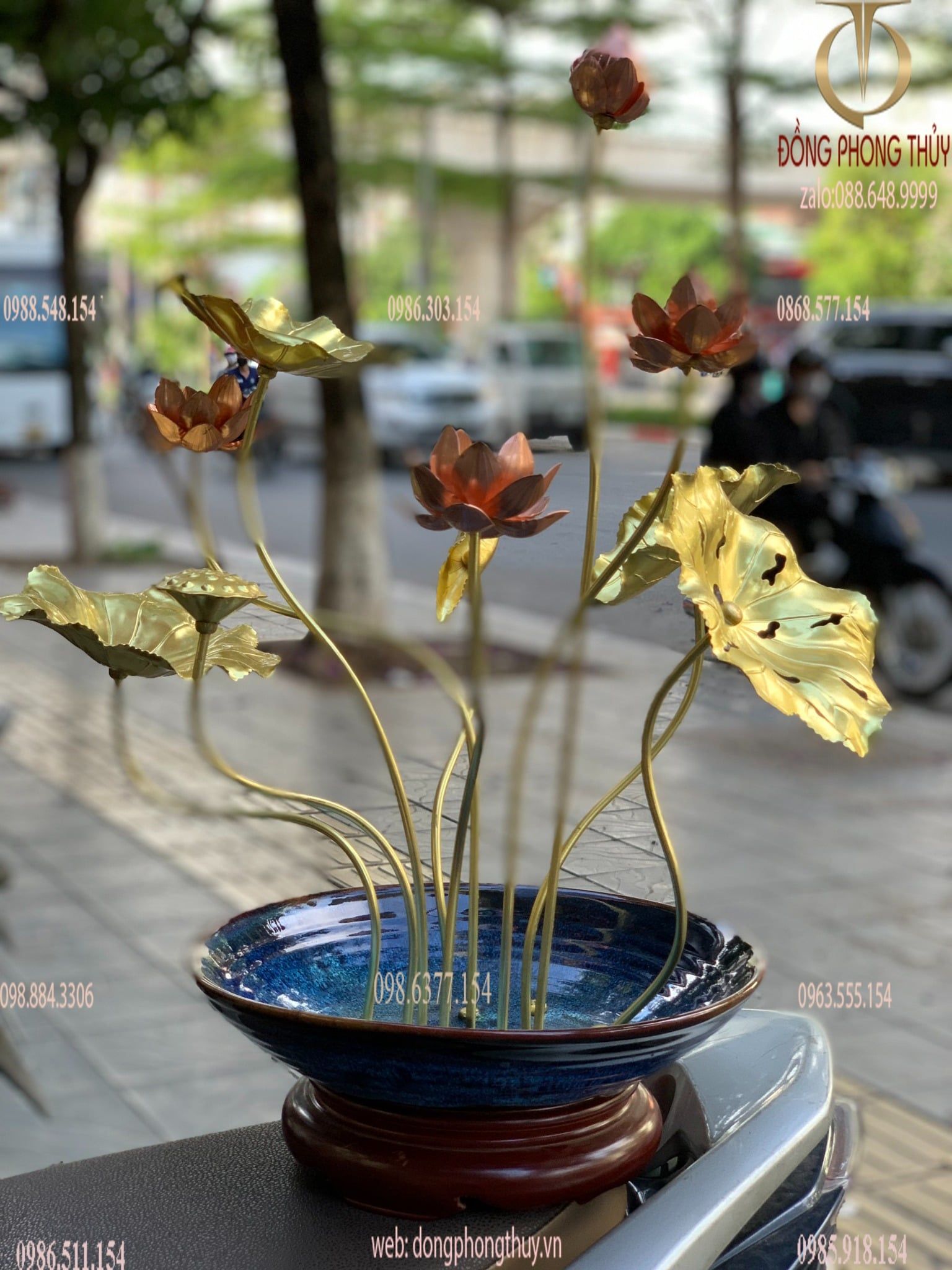 Hình ảnh sản phẩm