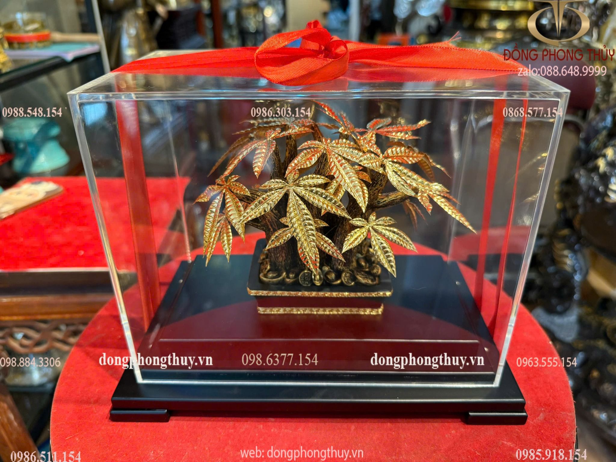 Hình ảnh sản phẩm