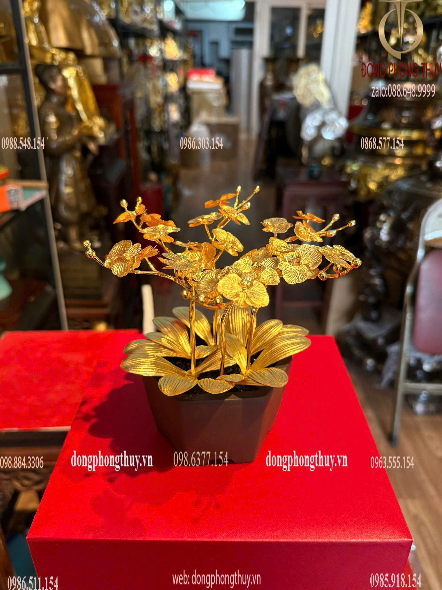 Hình ảnh sản phẩm