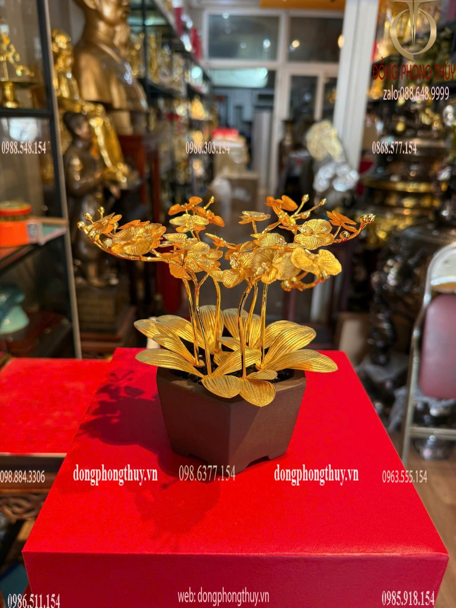 Hình ảnh sản phẩm