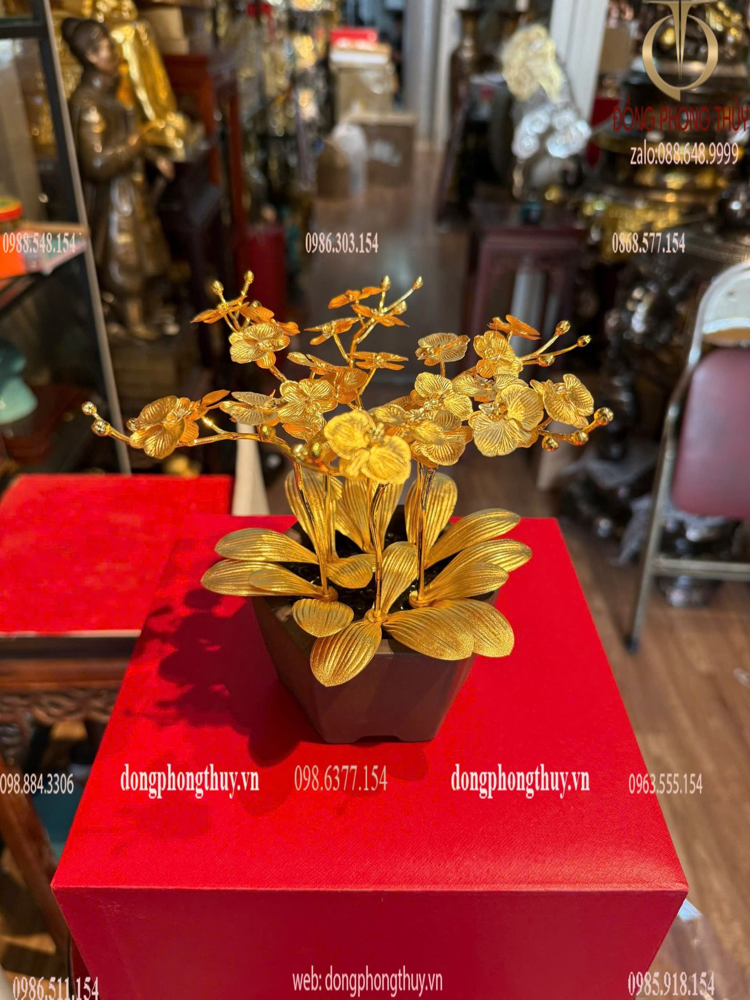 Hình ảnh sản phẩm