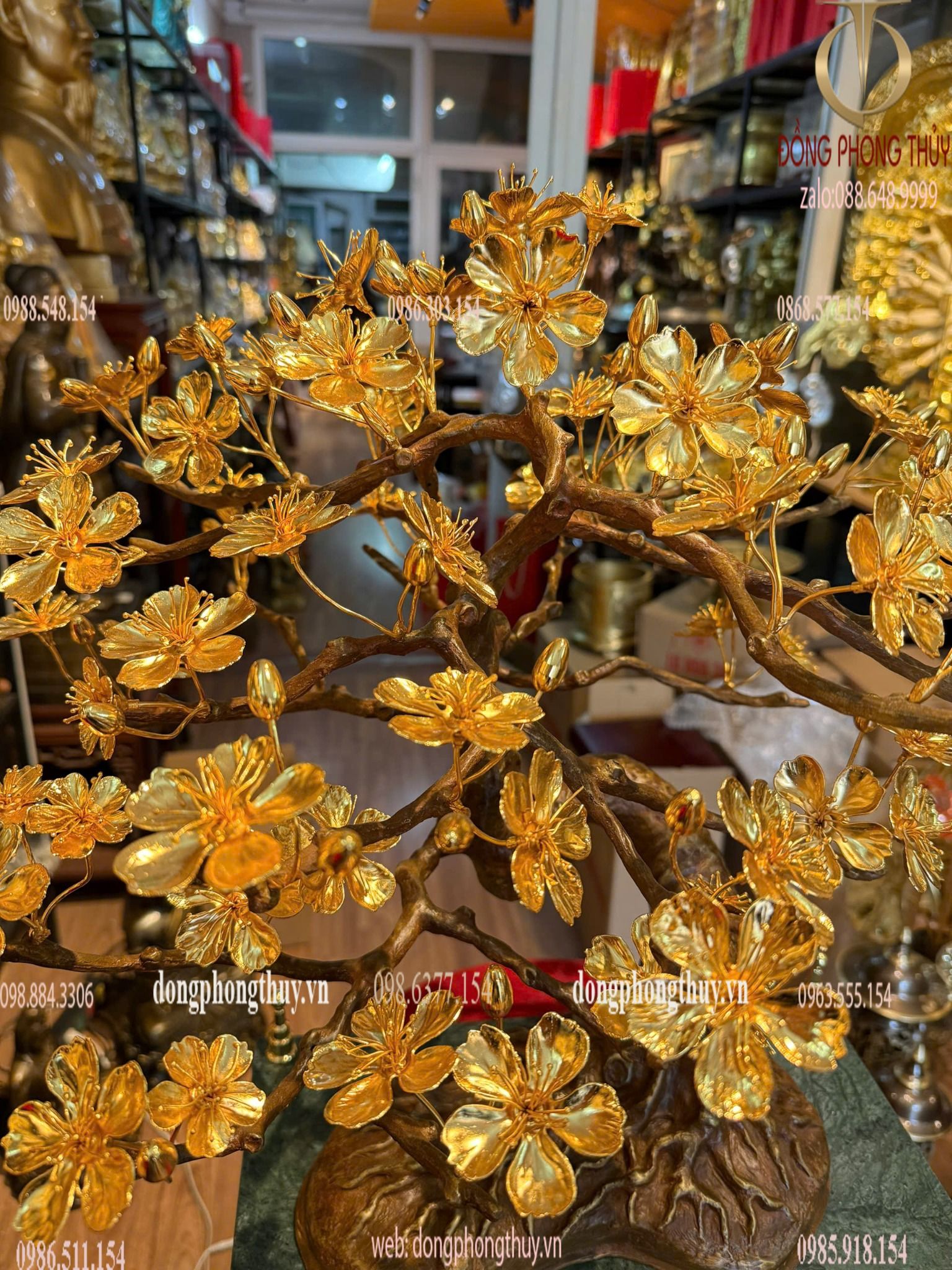 Hình ảnh sản phẩm