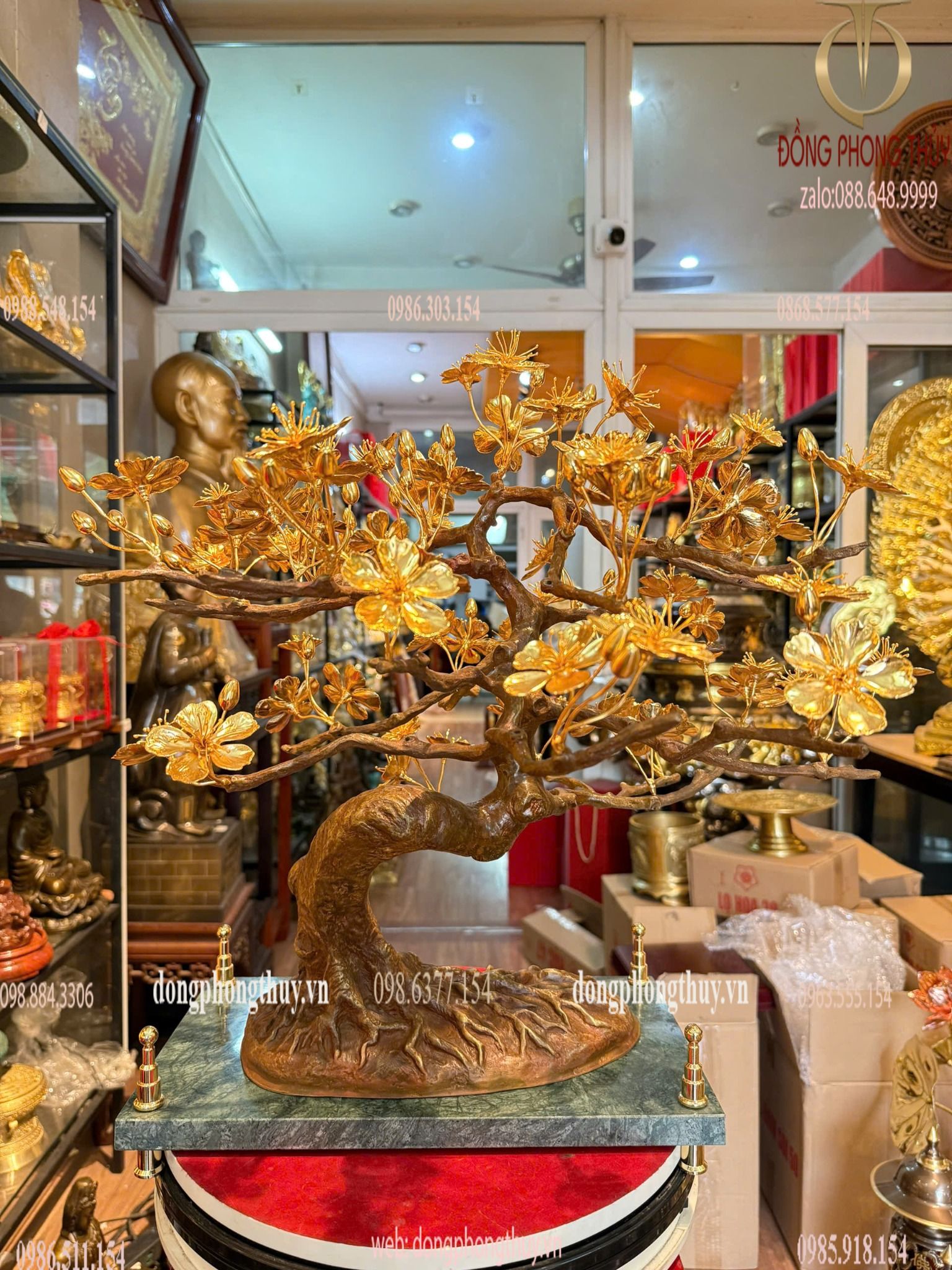 Hình ảnh sản phẩm