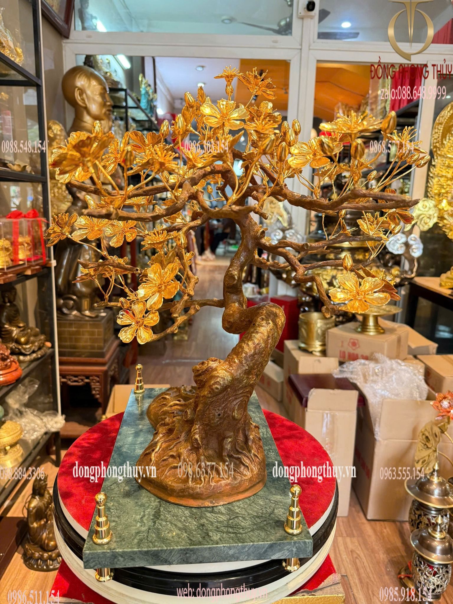 Hình ảnh sản phẩm