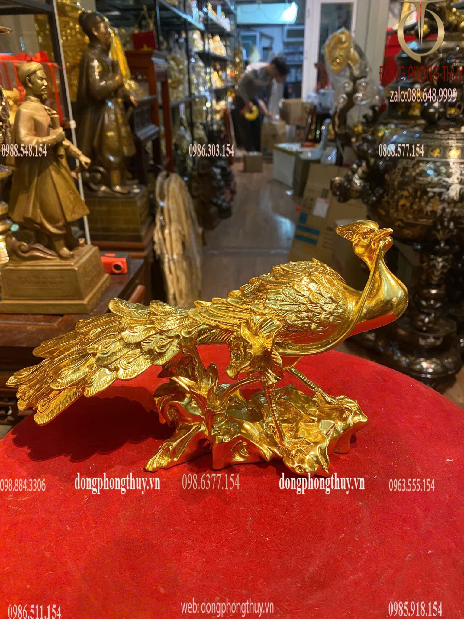 Hình ảnh sản phẩm