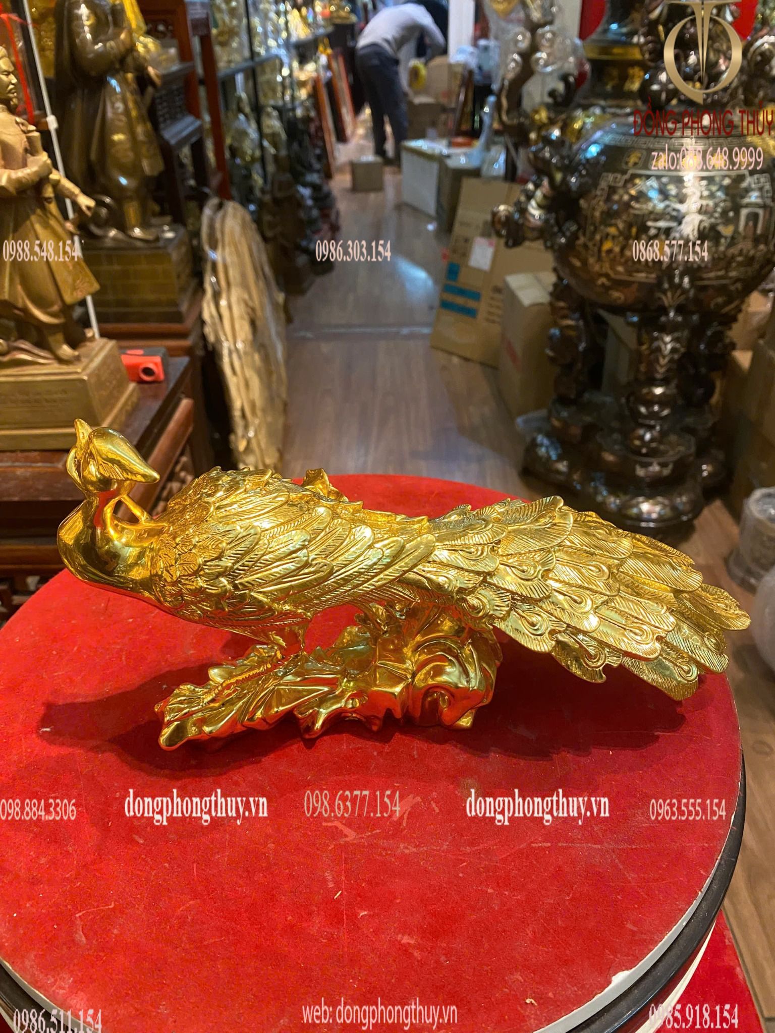 Hình ảnh sản phẩm