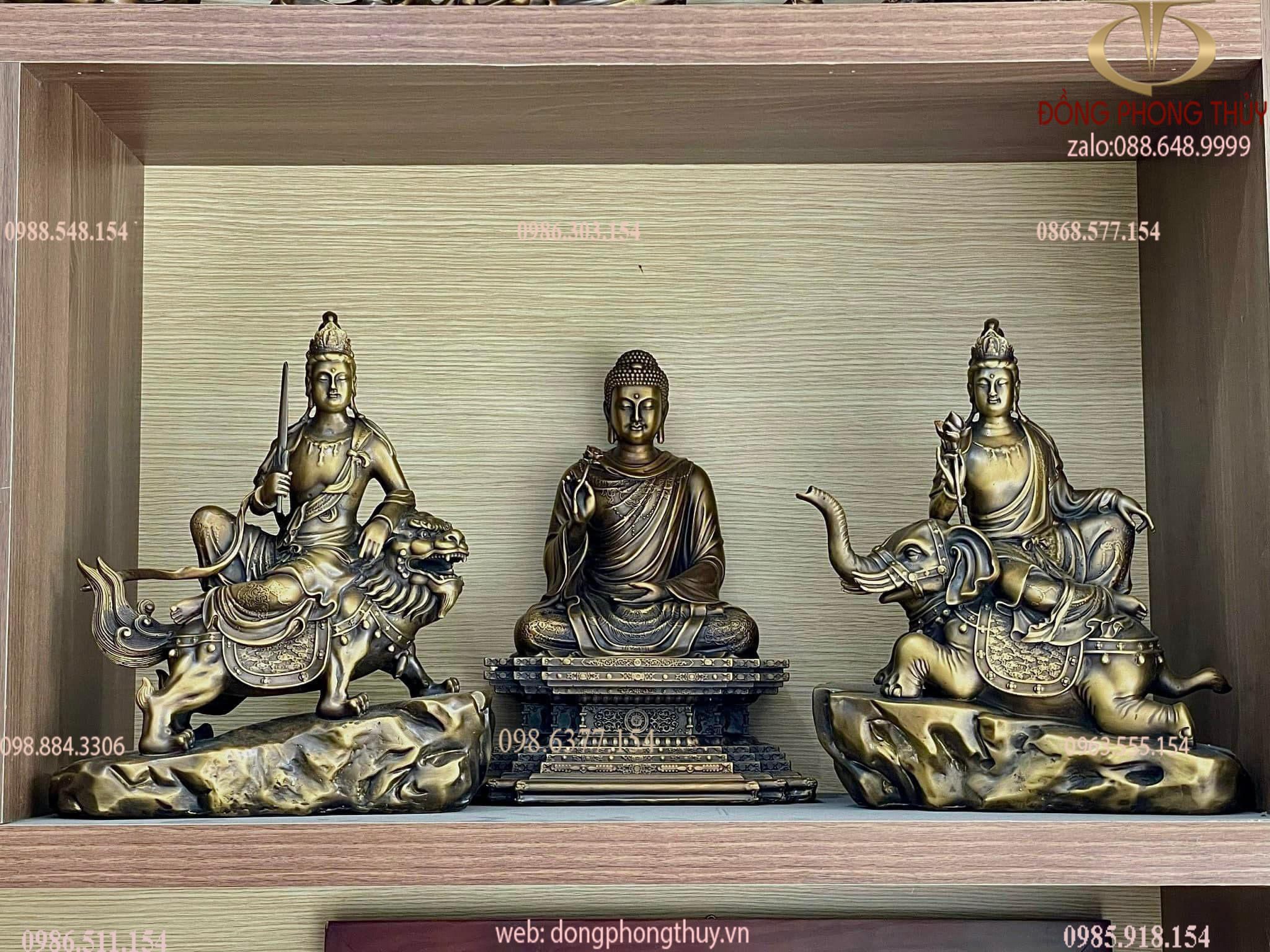 Hình ảnh sản phẩm