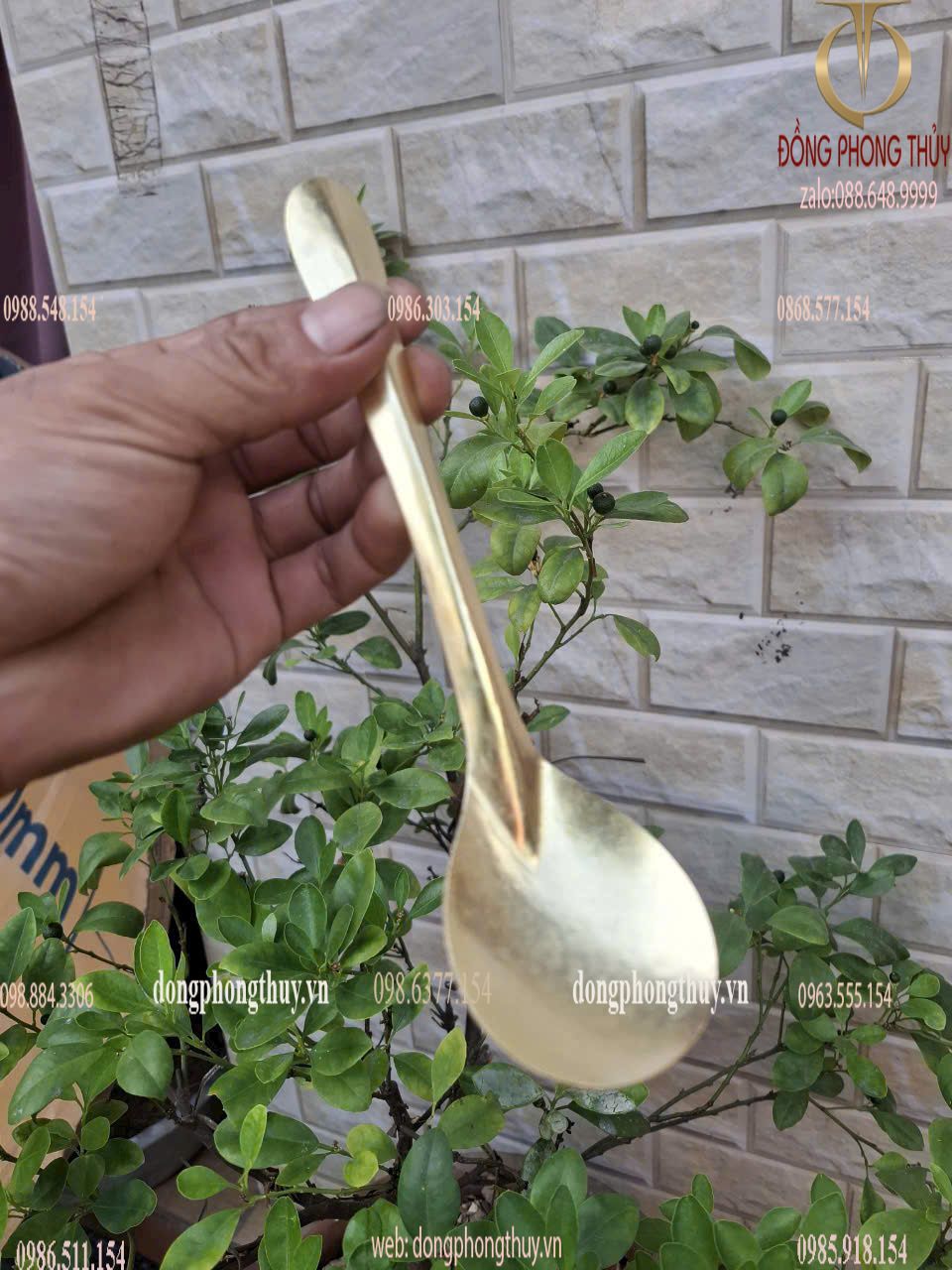 Hình ảnh sản phẩm