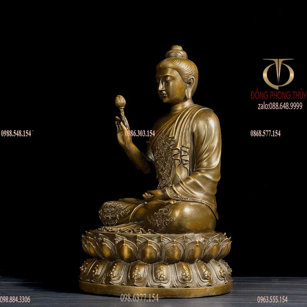 Thích ca liên hoa cao 40 nặng 11 kg