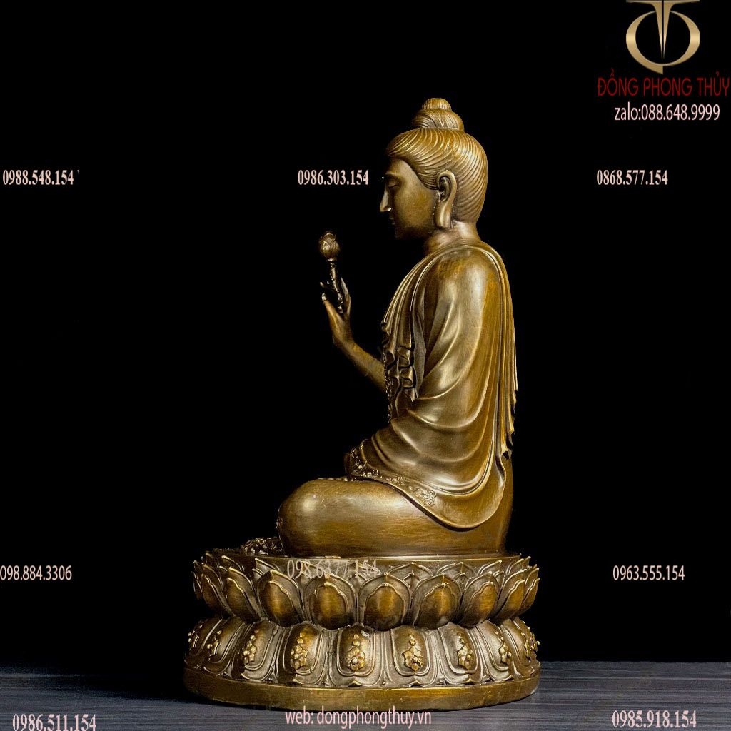 Thích ca liên hoa cao 40 nặng 11 kg