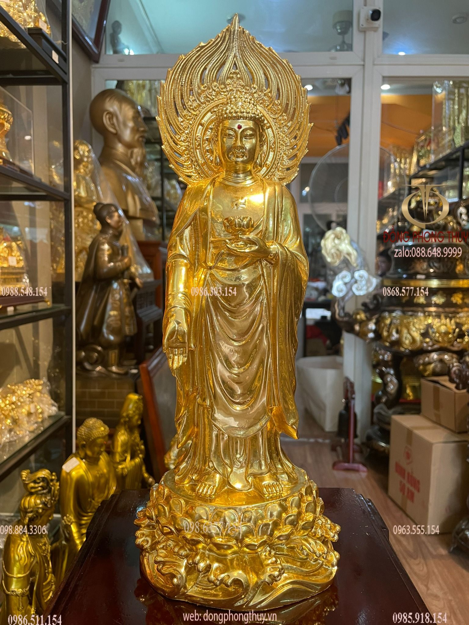 Hình ảnh sản phẩm