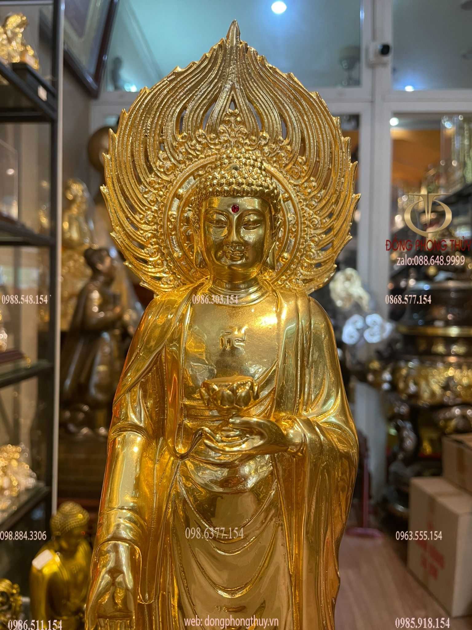 Hình ảnh sản phẩm