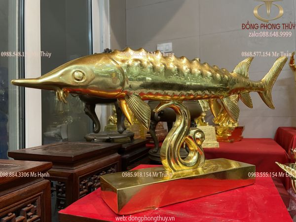 tượng cá phong thủy - tượng cá tầm bằng đồng đỏ dát vàng 24k