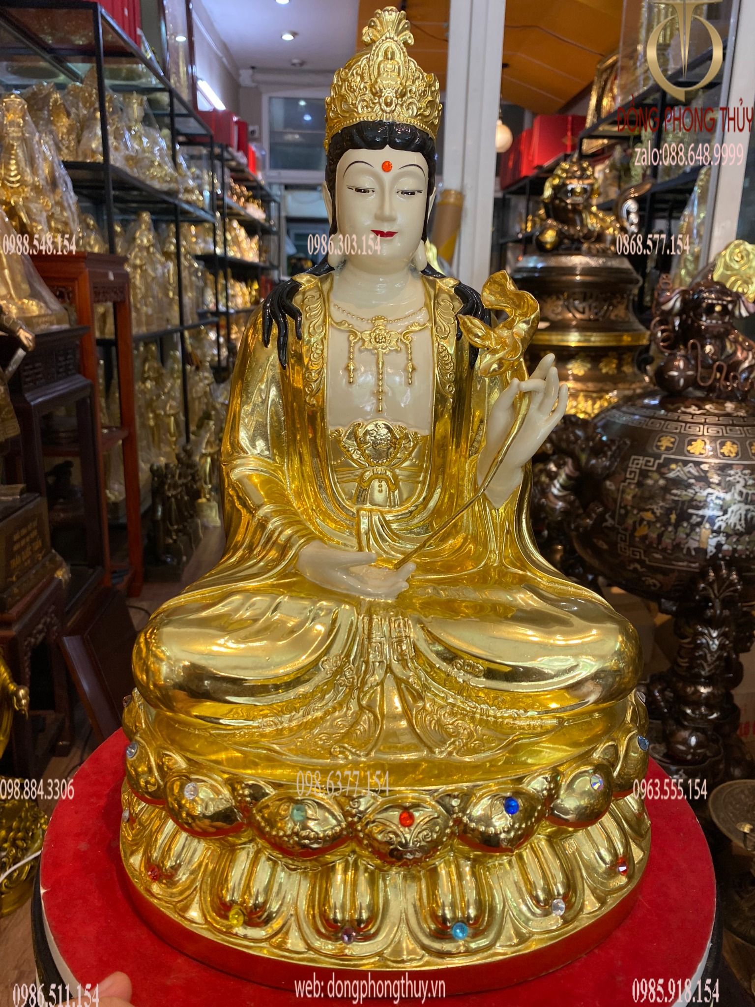 Hình ảnh sản phẩm