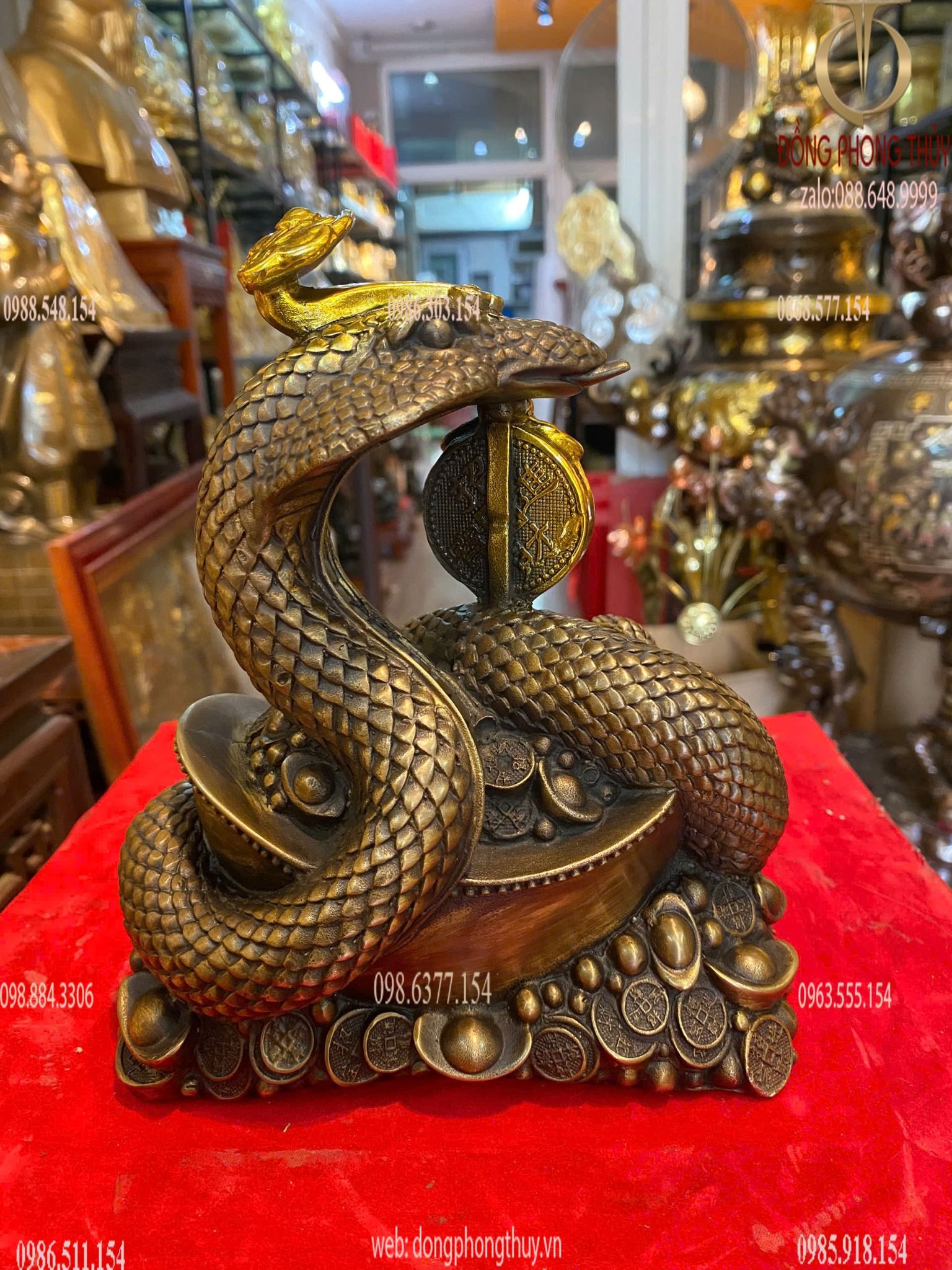 Hình ảnh sản phẩm