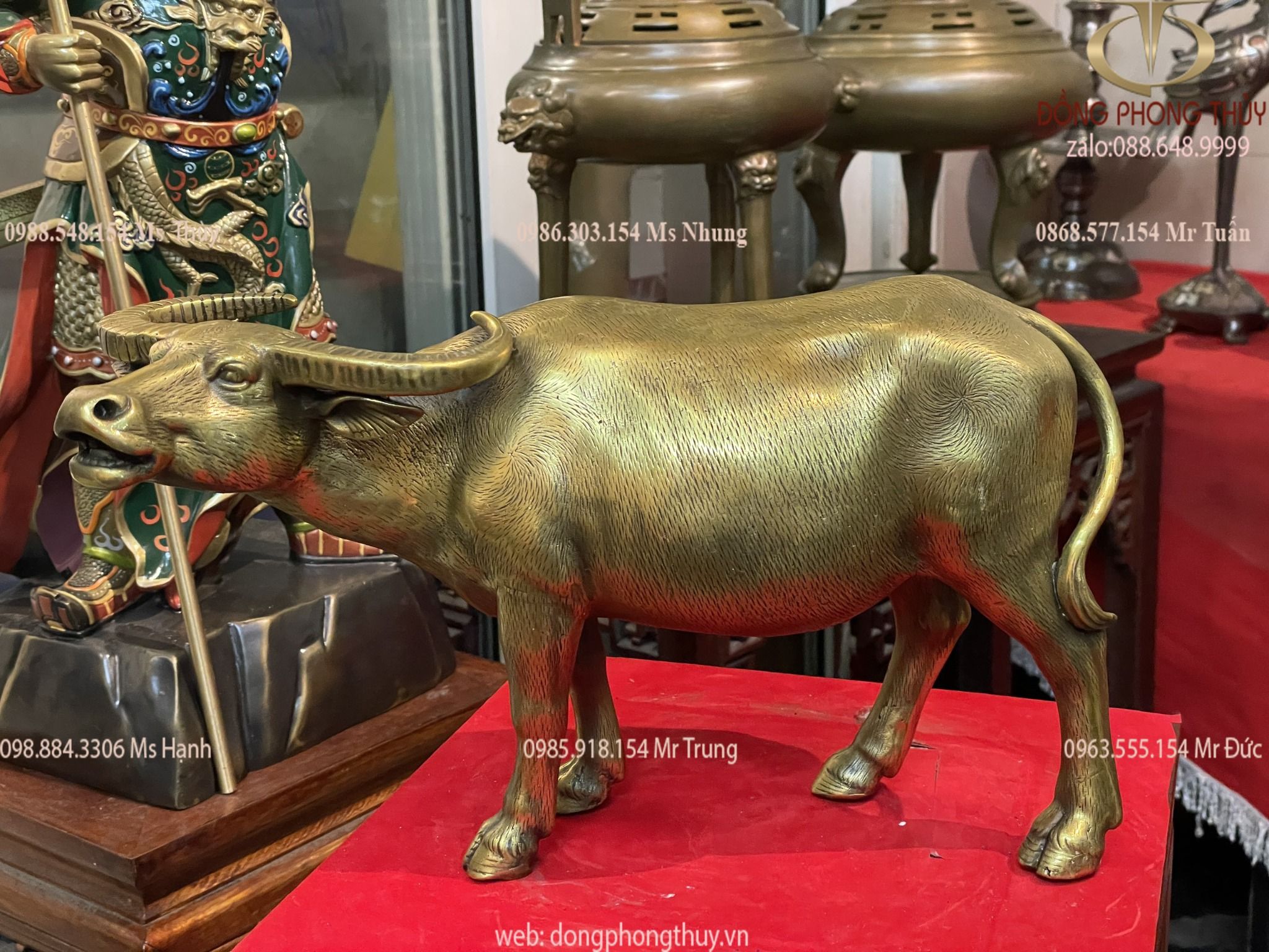 Hình ảnh sản phẩm