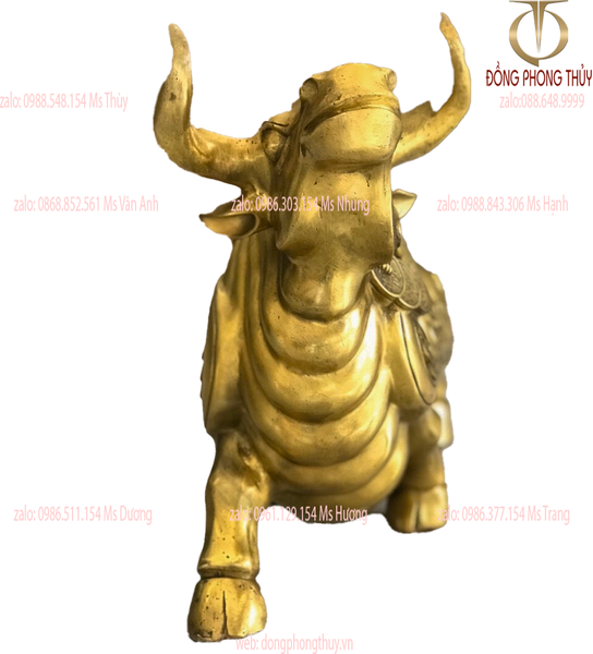 Tượng trâu vàng phong thủy bằng đồng cao 36cm dài 50cm nặng 8,5kg