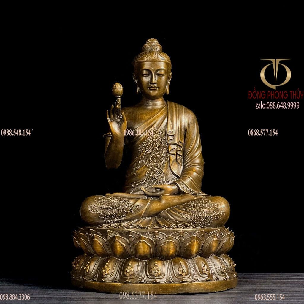 Thích ca liên hoa cao 40 nặng 11 kg