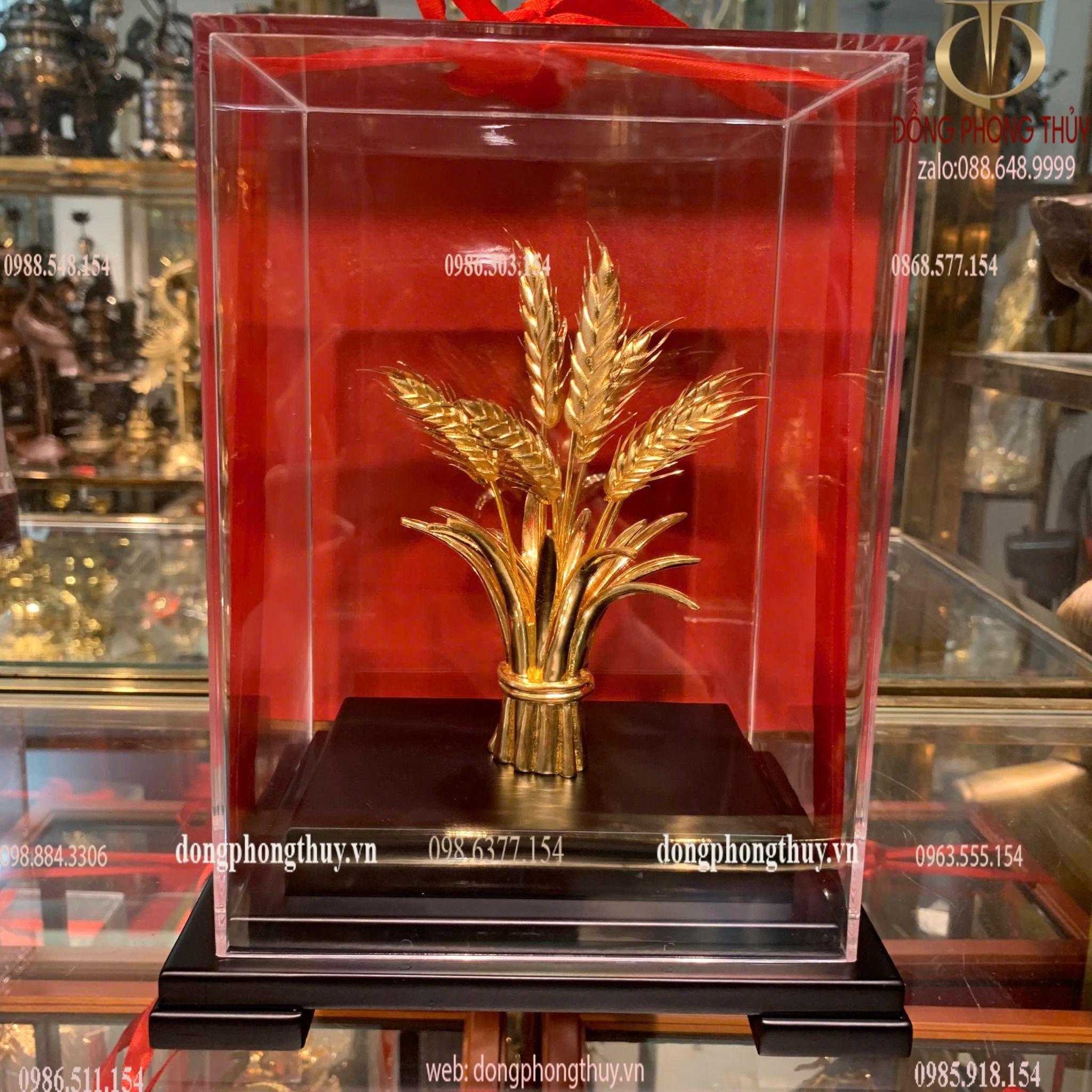 Hình ảnh sản phẩm