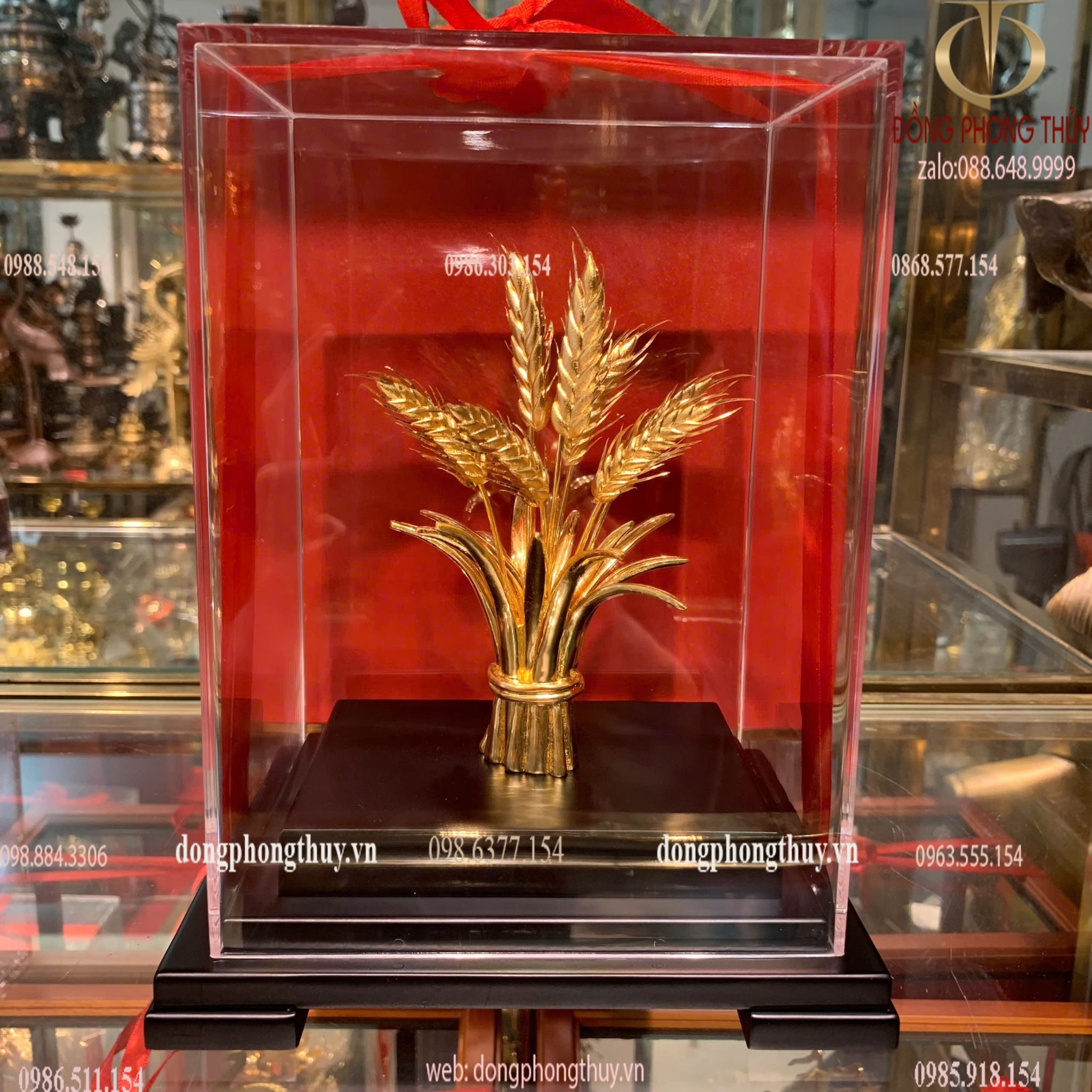 Hình ảnh sản phẩm