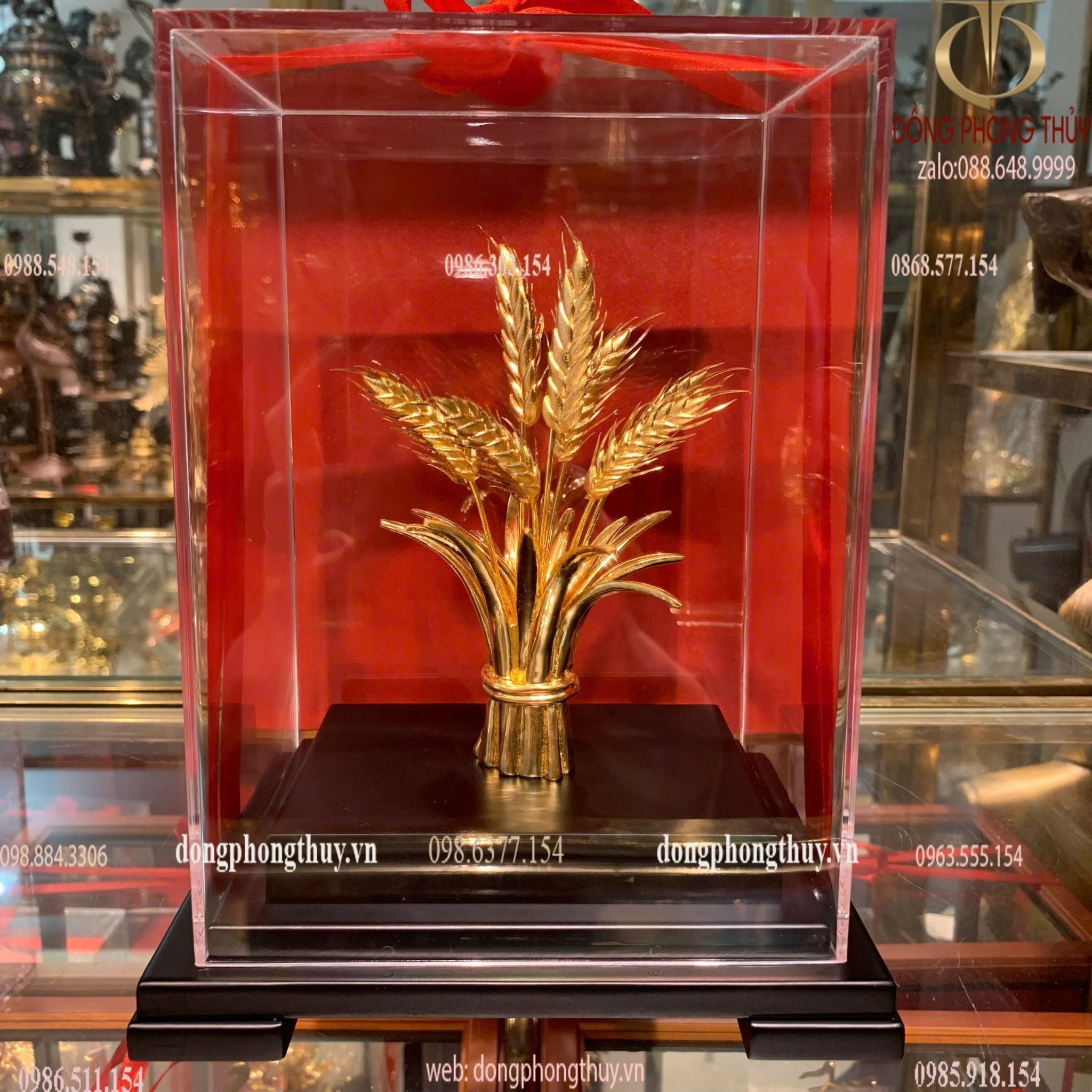 Hình ảnh sản phẩm