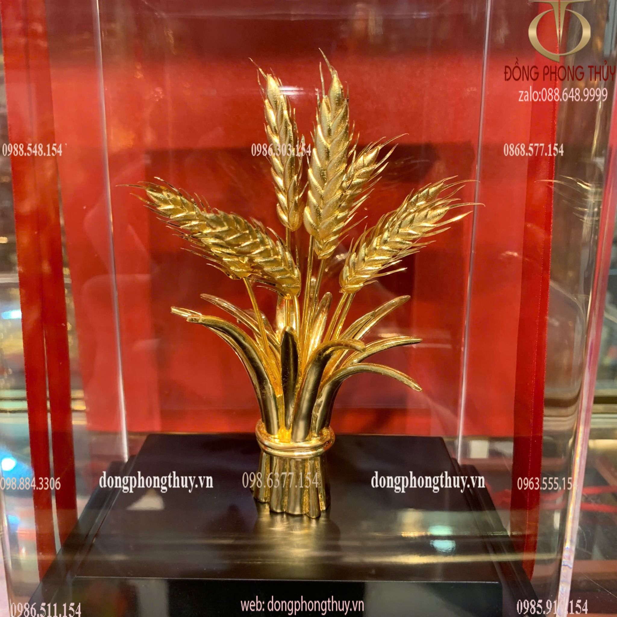 Hình ảnh sản phẩm