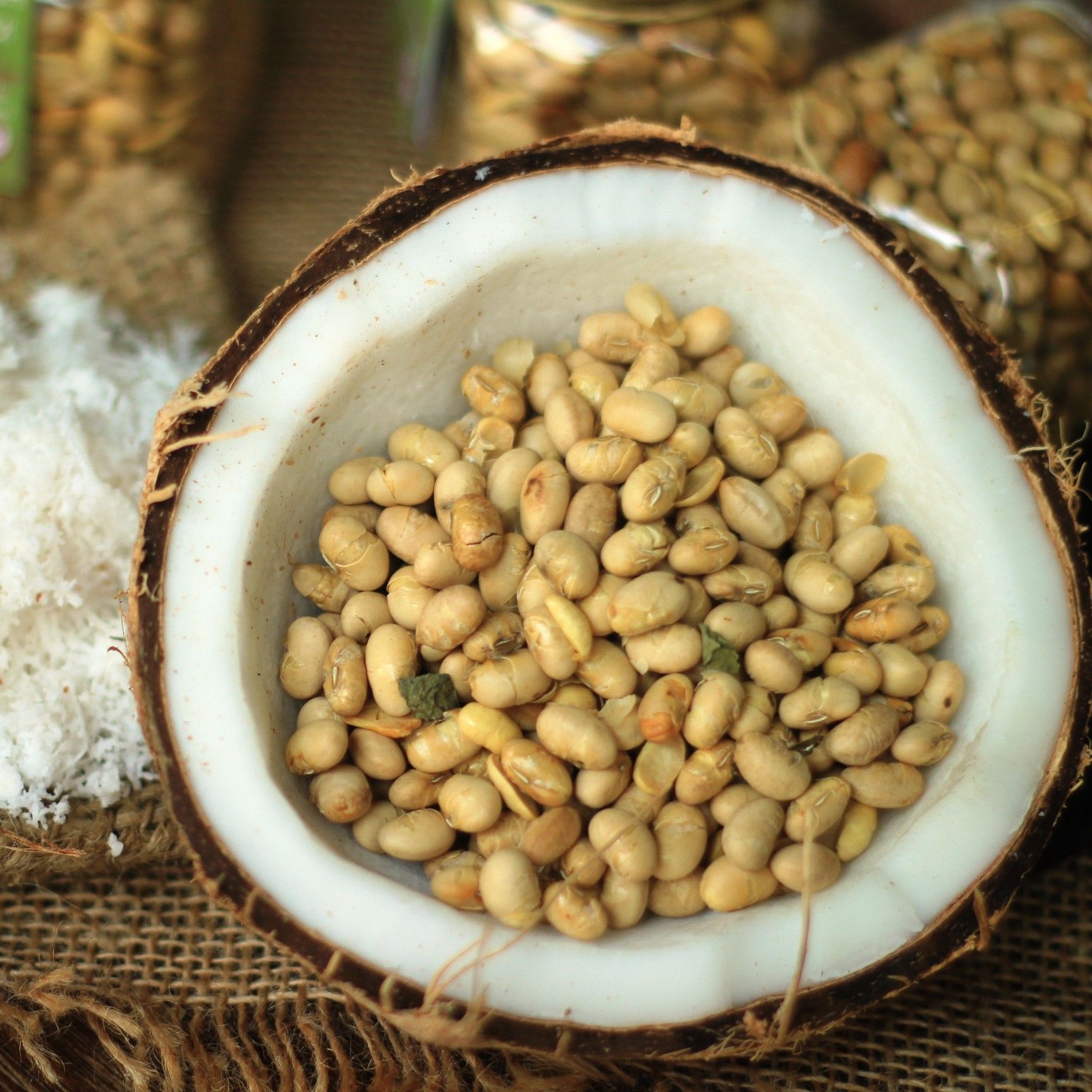 TP03151 LON NÓN ĐẬU NÀNH PHỦ DỪA 100G (140G)_COLLECTION