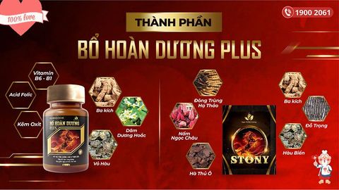 Mua thuốc Bổ Hoàn Dương Plus tại hà nội