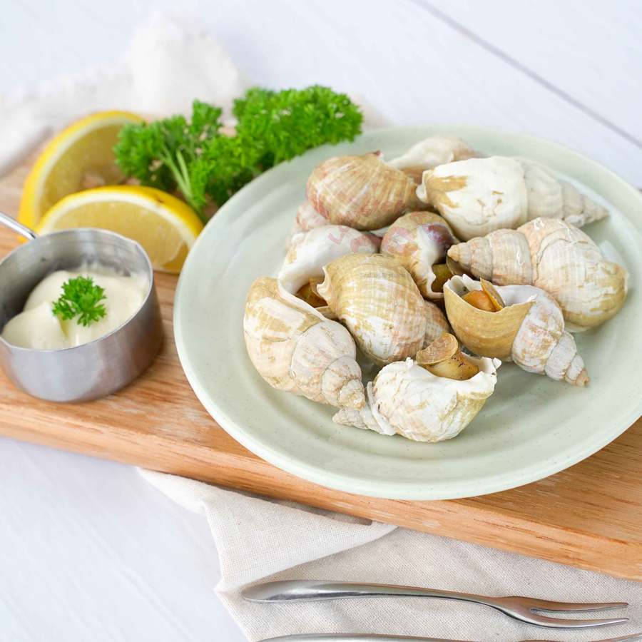 Ốc Bulot Pháp Tự Nhiên