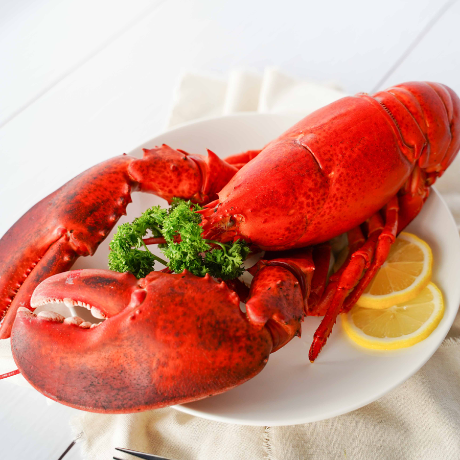 Tôm Hùm Alaska Sống Hấp Tự Nhiên & Hấp Kiểu Pháp (Live Lobster)