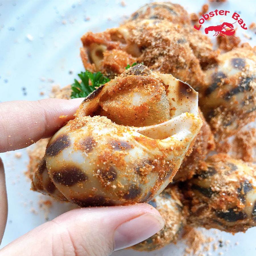 ỐC HƯƠNG CỒ