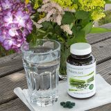 Viên uống đẹp da & giảm cân SPIRULINA PLATENSIS DALTON