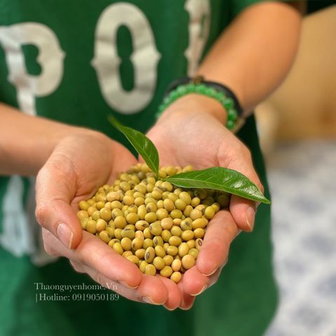  Đậu nành quê giống cũ ( Soy bean ) 