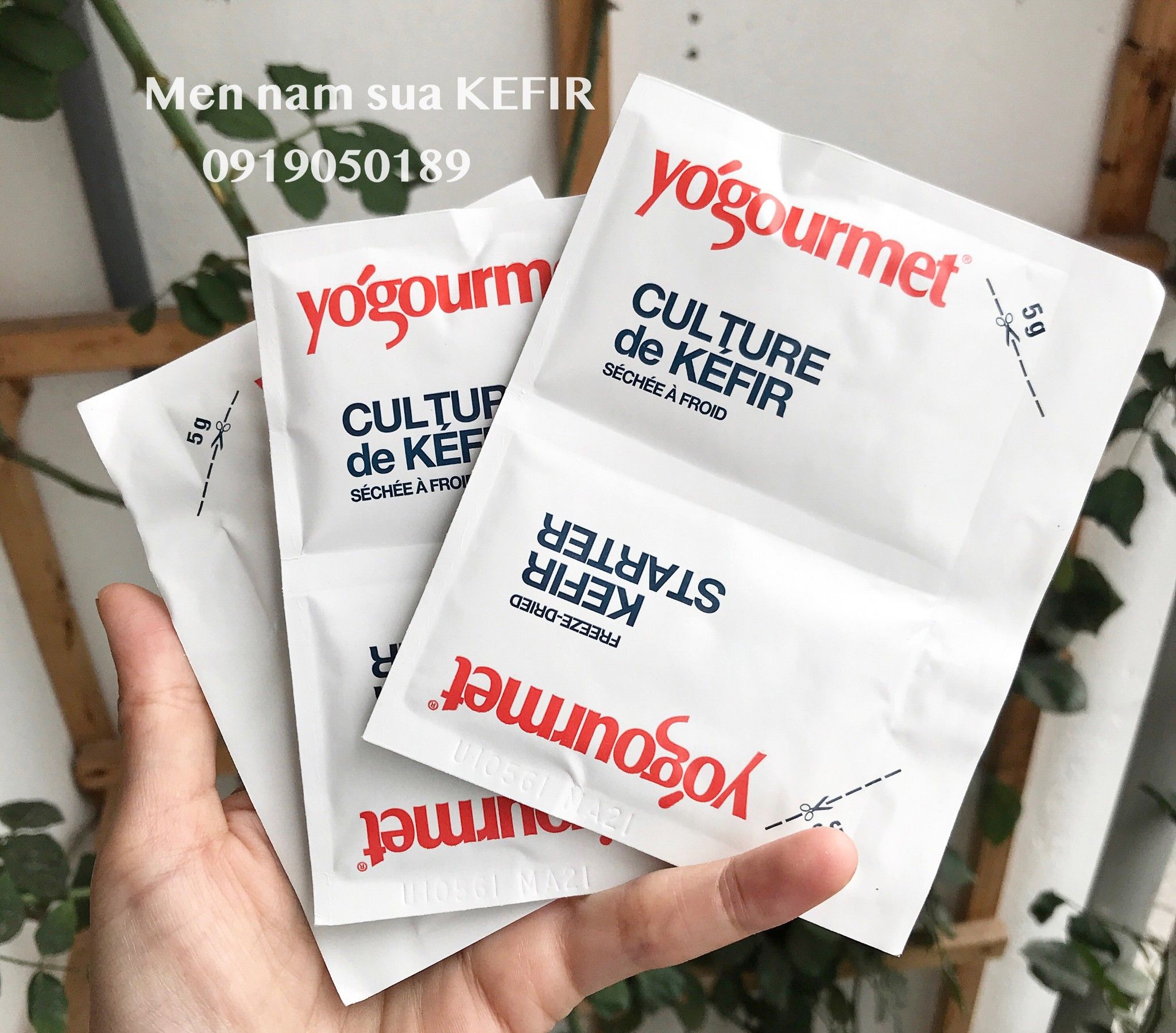 MEN NẤM SỮA KEFIR CANADA (set 2 gói)